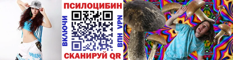 Галлюциногенные грибы GOLDEN TEACHER  Терек 